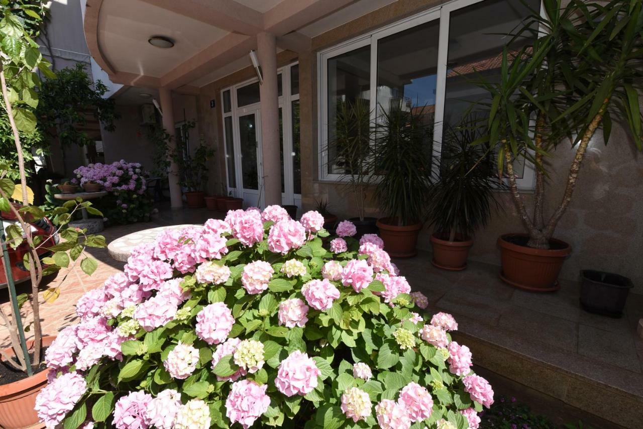 Guest House Zec Budva Exterior photo